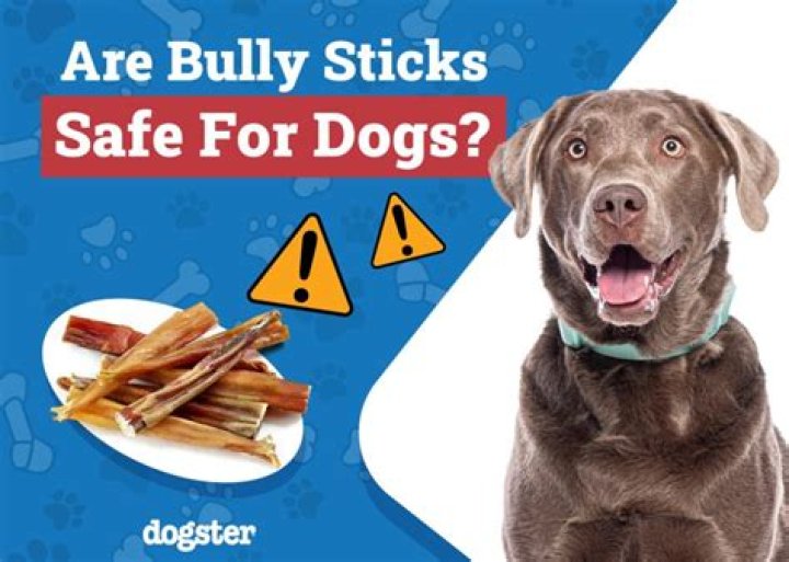 Are bully sticks safe for dogs?