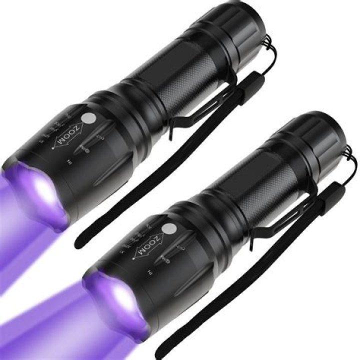 Can a black light detect bacteria?