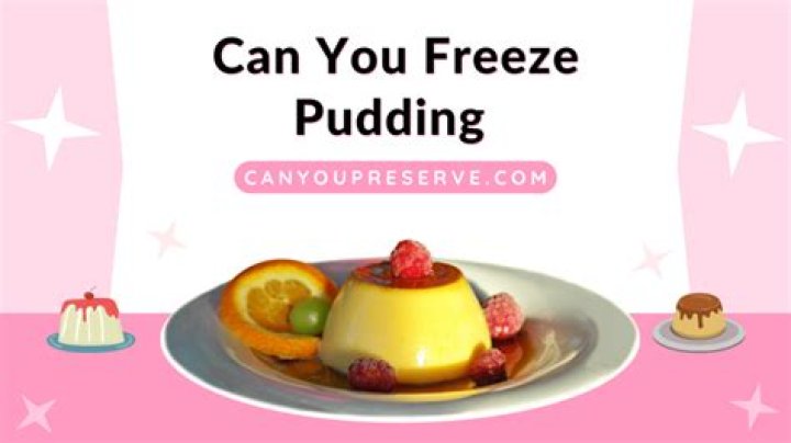 Can you freeze pudding cups?