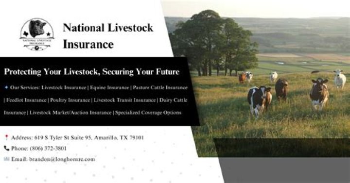 Do you have to have insurance in West Virginia?