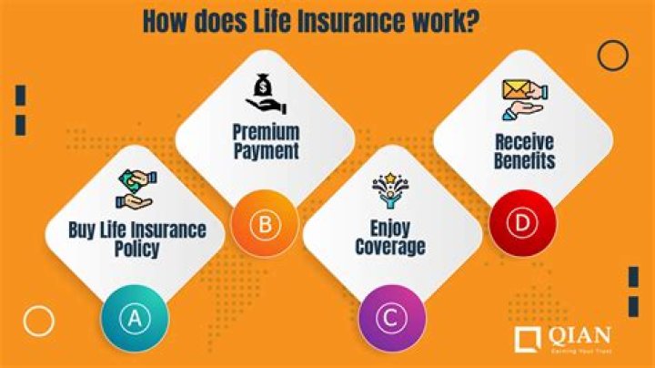 How do title insurance companies work?