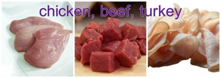 Is beef or turkey better for dogs?