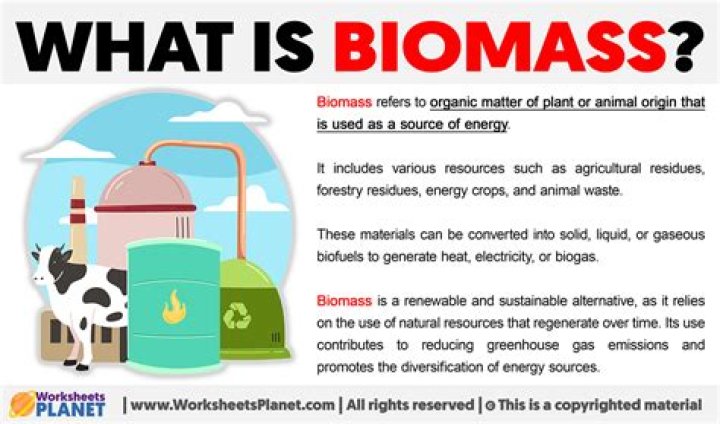 Is biomass worse than gas?
