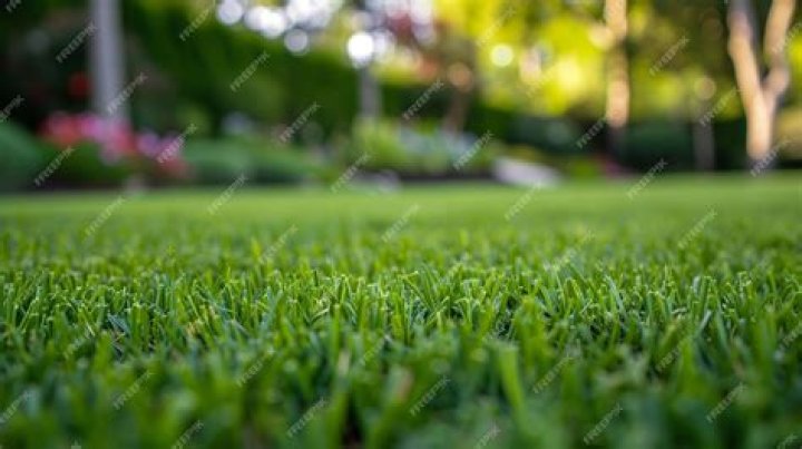 Is it better to cut grass short or long?