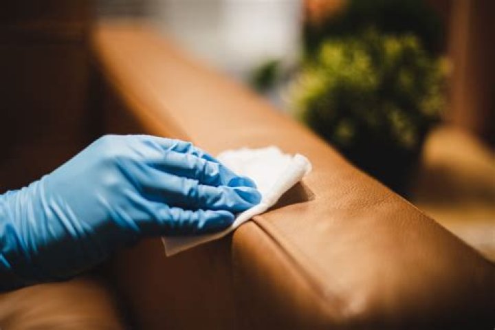 Is white vinegar good for cleaning leather sofa?