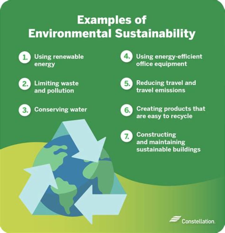 What does sustainability mean to you essay?