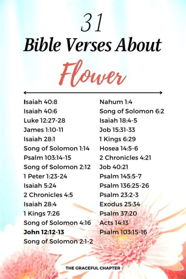 What does the Bible say about Don't quit?