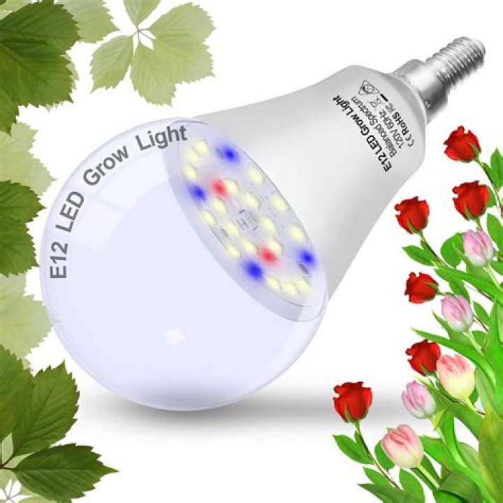 What is grow light bulb?