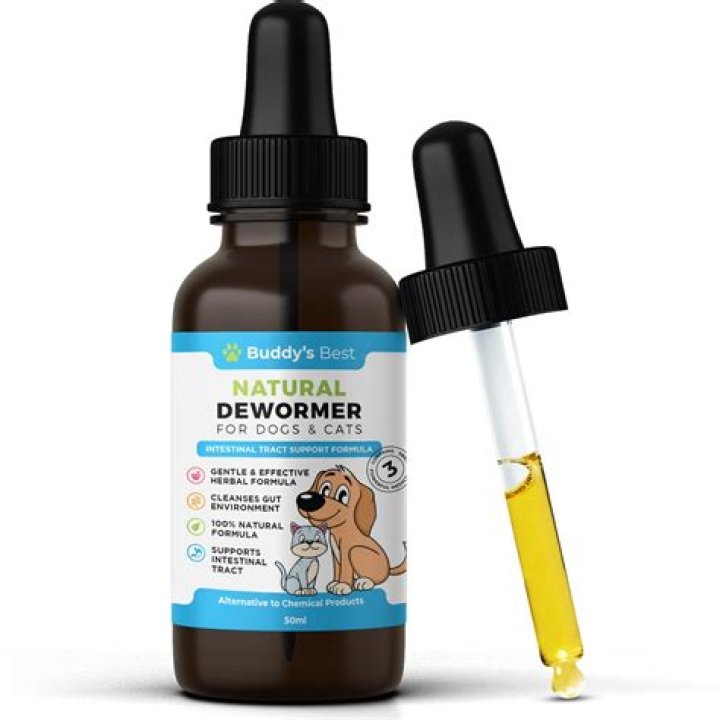 What is the best natural dewormer for dogs?