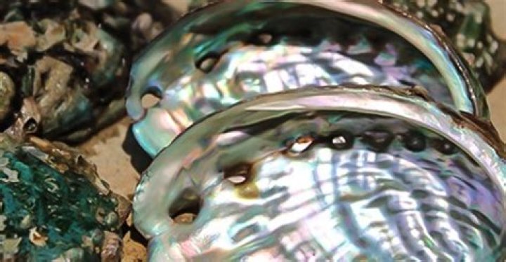 What is the color of mother of pearl?