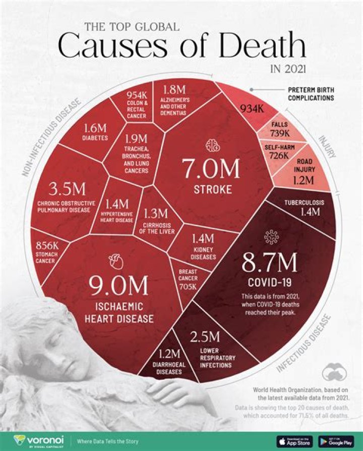 What is the most common cause of death in hamsters?