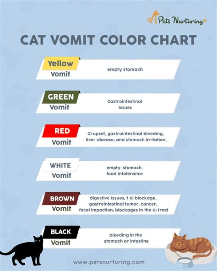 What is the most loving type of cat?