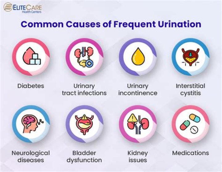 What vitamins help with frequent urination?