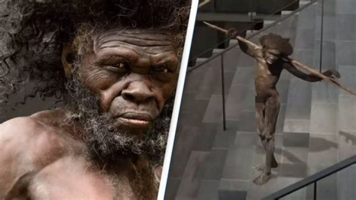 Who was the first people on Earth?