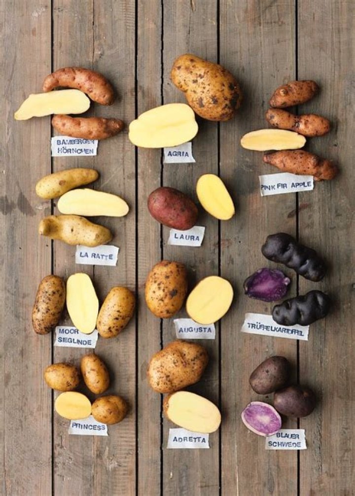 Why did NASA send the crew to Mars with 12 potatoes?